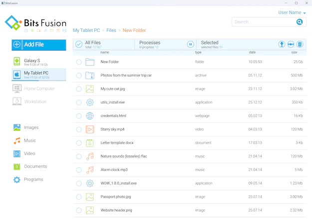 Software for remote file access Screenshot